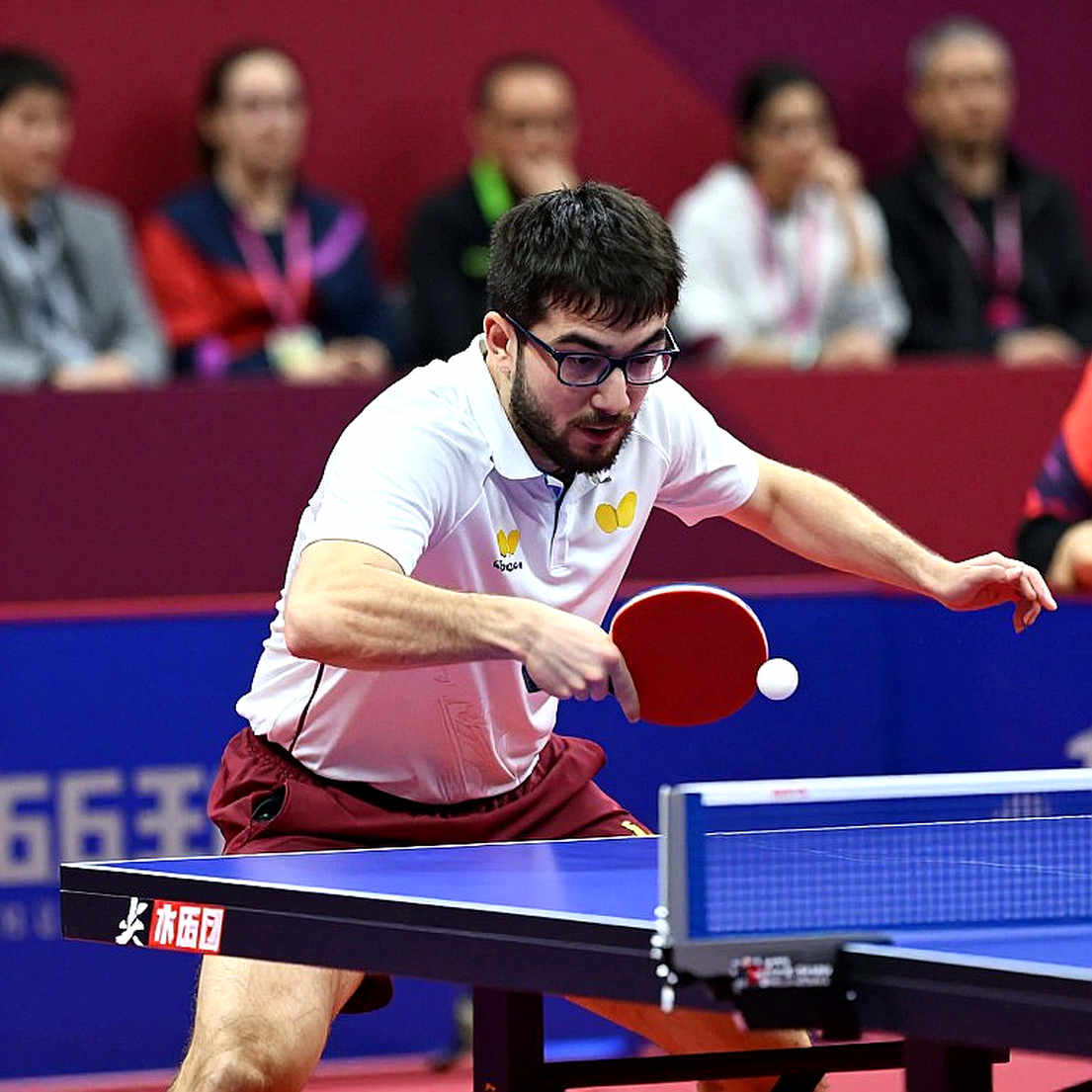 USA Sweeps 14/14 Golds at ITTF Americas U11-U13: Reading a Regional Record Correctly