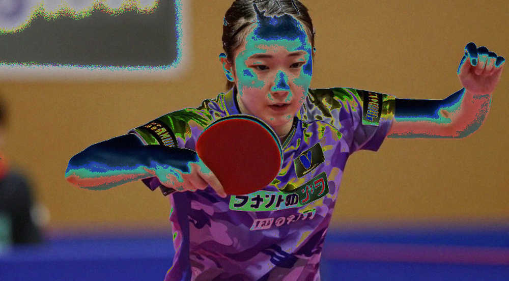 United States Sweeps All 14 Gold Medals at the U11-U13 Americas Championships on Home Soil in Katy