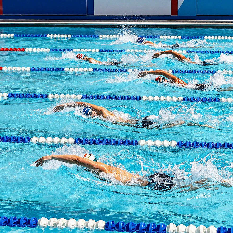 Lizzy Johnson Commits to Florida State: A 50–200 Freestyle Profile Read Through RAFC and FHSAA Data Lizzy Johnson Commits to Florida State: A 50–200 Freestyle Profile Read Through RAFC and FHSAA Data